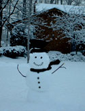 Sorry the little guy's so hard to see, but protests having to do with snow being the same color as snow only get one so far. I guess it would've been too much work to shoot to give it a non-snow background...More importantly, the traditional snowman face and stuff were drawn in 'cause Luke hates stuff like that. Moo.